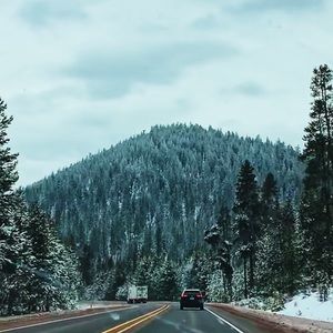 Meet your Posher, Michellle